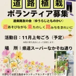 道路植栽ボランティア募集 活動日：11月上旬ごろ（予定） ※苗の育ち具合によって決定します。 場所：県道スーパーなかそね通り ※詳しくは宮古島市ボランティアセンターまで 〒906-0013 宮古島市平良字下里442（平良老人福祉センター内） 0980-72-3193 FAX: 0980-73-0893